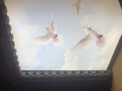 -徽三说·土徽菜·中国徽菜连锁品牌(一中店)