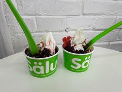 -Salud撒露欧洲冻酸奶(798艺术区店)