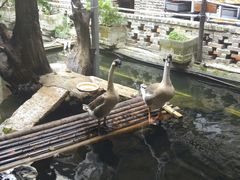 大堂-优之名鹅城
