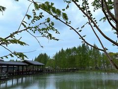-渤公岛生态公园
