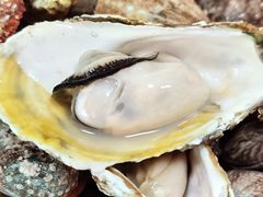 -海岛渔村大酒店(云霄路店)