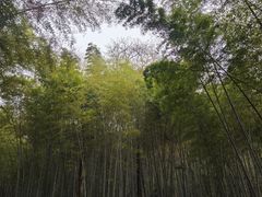 -敬亭山风景名胜区