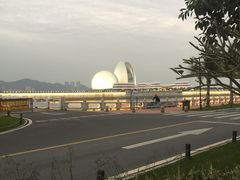-野狸岛