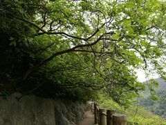 -木兰云雾山
