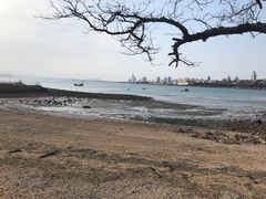 -青岛第二海水浴场