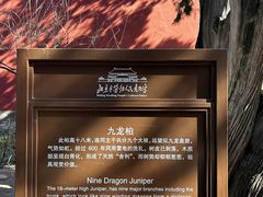 -北京市劳动人民文化宫(太庙)
