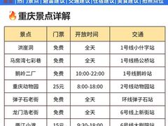 -龙湖重庆时代天街