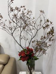 -北京叶子整形美容医院