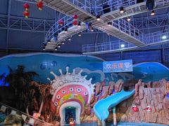 -烟台海昌鲸鲨海洋公园