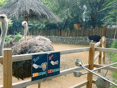 -北京野生动物园