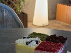 -天力卡拉优动物奶油生日蛋糕(鼓楼店)