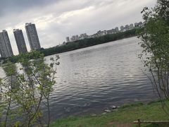 -长白岛森林公园