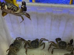 -蟹状元大闸蟹·年货·粽子(成都成华店)