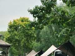 -蒲河岛湿地公园