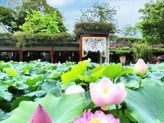 -宝墨园景区