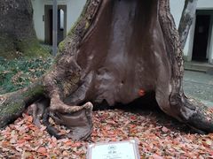 -岳王庙
