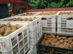 -功德林(南京西路店)