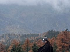 -芦芽山旅游度假区