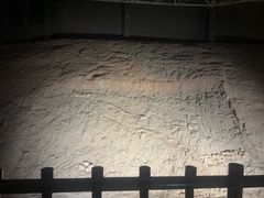 -世界恐龙谷景区