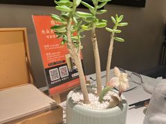 -金链花·泰国餐厅(国贸店)
