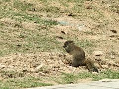 -顺峰山公园