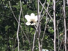 -火炉山森林公园