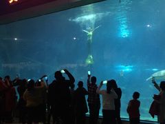 -福州罗源湾海洋世界旅游区