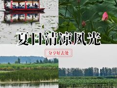 -白洋淀景区