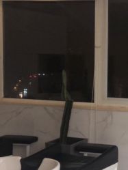 -潘多拉Hairsalon