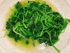 清炒鸡毛菜-海富门·带鱼·淮扬菜·粤菜(甘家口店)