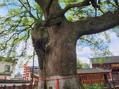 -新安江山水画廊风景区