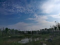 -春花秋色城市公园