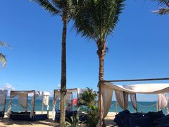 -精酿农场Brew Farm·沙漠绿洲餐厅