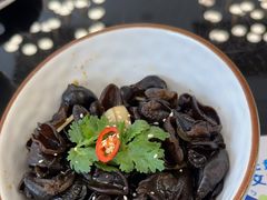-聚鑫阁江浙菜·非遗传承技艺(闵行交大店)