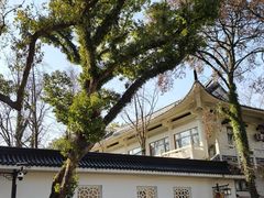 -江心屿景区