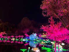 -国色天乡三期陆地乐园