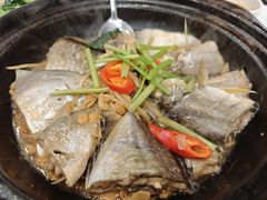 -长平肥姐白粥·海鲜打冷