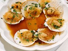 扇贝-新龙船黄浦江餐饮游船官方自营店