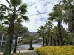 -厦门国家会计学院