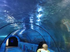 -嘉兴海底世界