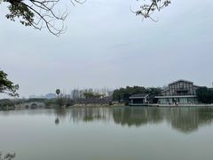 -江心屿景区