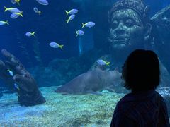 -暹罗海洋世界