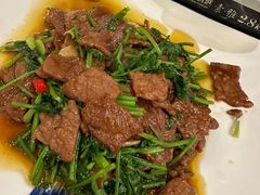 香菜小炒黄牛肉-芳草地度假酒店·野炉中餐厅