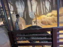 -酷嗒动物文化乐园(cutezoo西溪乐天城店)