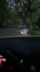 -上海交通大学医学院附属上海儿童医学中心(陆家嘴总院区)