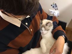 -喵屋coffee