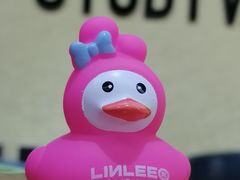 -学习谷日语培训日本留学·多语种外语教学(海淀人大分部)