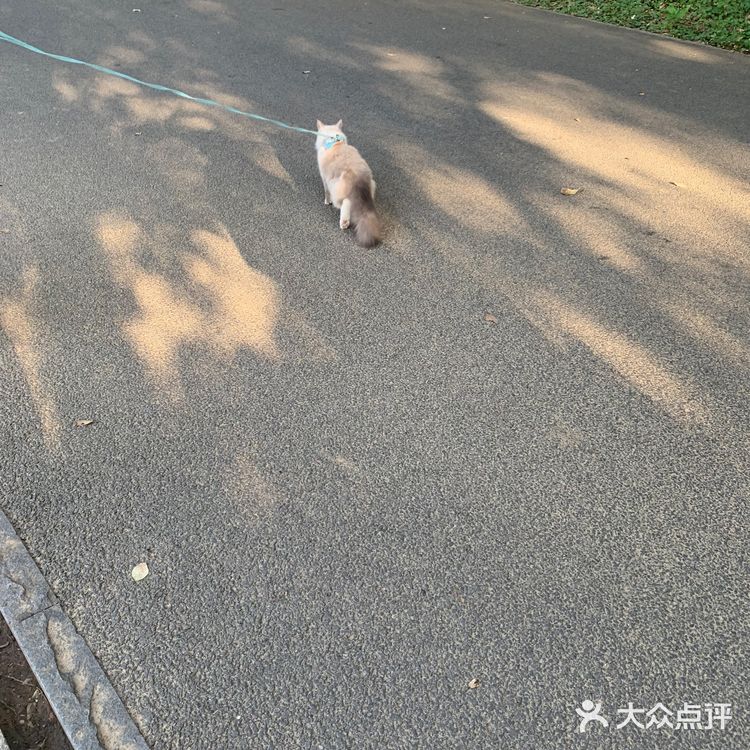 凌波门 | 心中东湖最美的角落