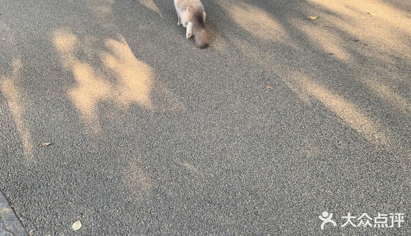 凌波门 | 心中东湖最美的角落