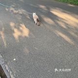 凌波门 | 心中东湖最美的角落